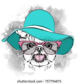 Girl puppy in a hat. Yorkshire Terrier. Vector illustration