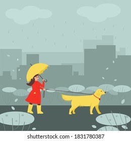 A girl in rainy autumn weather walks her Labrador dog. The girl walks under an umbrella. Golden Labrador walks in the rain with its mistress. Flat vector illustration.