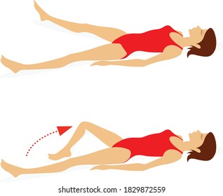 Girl in a swimsuit lying  on the floor does exercises to strengthen the muscles of the abdominal press, back and legs. Vector illustration isolated on white background
