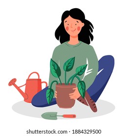 The girl transplants houseplants isolated on a white background. Woman caring for flowers.