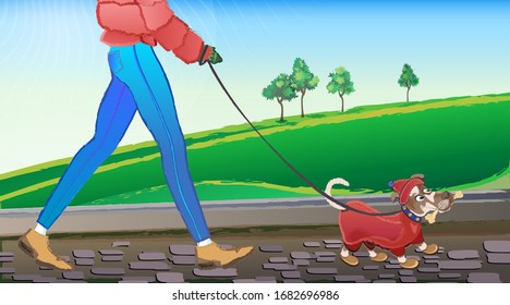 Girl walking outdoors with his little dog dressed in warm clothes. Vector colorful illustration of the life of pets