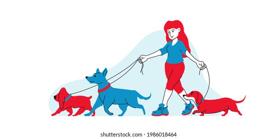 Girl walks with dogs holding them by the leash. Dogs walking flat line graphic style