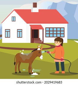 Girl washing horse. Pet care. Horse riding. Equestrian Sport. Isolated Vector Illustration on a flat style. Realistic image. Horse riding lessons