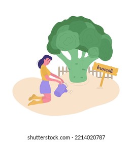Girl with a watering can waters broccoli in the garden.