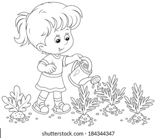 Girl watering carrots