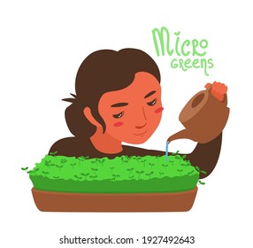 A girl watering microgreens. Microgreen growing. Home garden. Homegrown herbs. Gardening, sprouting seedlings. A vector cartoon illustration.