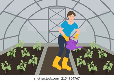 A girl is watering seedlings in a greenhouse. Seedlings in the greenhouse. Vector drawing of a greenhouse with seedlings.