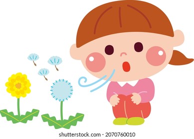 A girl who blows on dandelion fluff and plays