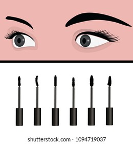 A girl's eyes and  types of  mascara vector illustration. Set of mascara