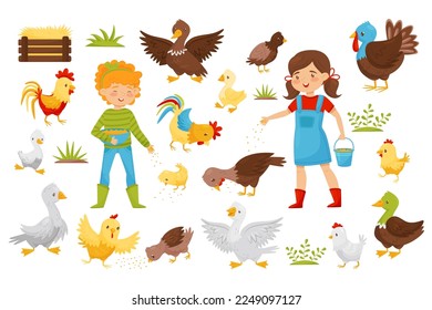 Girls Farmer in Boots Feeding Poultry with Grain on the Yard Big Vector Set