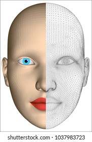 The girl's head is divided into two parts, one half is covered with a mesh covering, the other half is covered with a normal covering. 3D. Vector illustration.