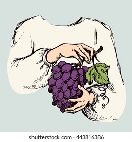 Girl's palm picking big grapevine cluster. Freehand color drawn picture sketchy in art doodle retro graphic style. Closeup view with space for text on grey background