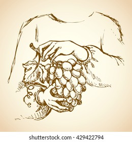 Girls's hardwork palm picking old grapevine cluster in vineyard. Freehand outline ink drawn picture sketchy in art doodle retro style pen on paper. Closeup view and space for text on yellow background