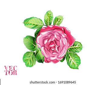 Girly Hawaiian Peony Background.  Green and Red Botanic Rose Flower Swimwear Print. Hand Drawn Isolated Floral Design. Summer Peonies Leaves and Buds Sleepwear Texture.  Rose and Leaves Elements.