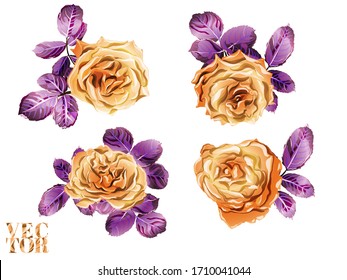 Girly Hawaiian Peony Background.  Summer Peonies Leaves and Buds Sleepwear Texture.  Botanic Rose Flower Swimwear Print. Hand Drawn Isolated Design. Rose and Leaves Elements. Rust Orange