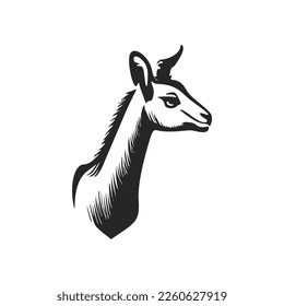 Give an elegant and classy look to your brand with a black and white llama logo