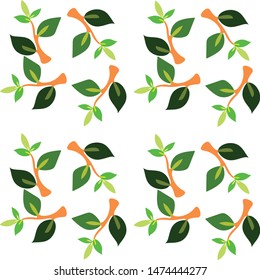 give a fresh, beautiful and natural impression
