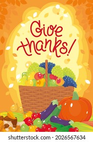 Give thanks poster with fruits, branches of grape in the busket, pumpkin, vegetables end mushrooms. Autmn fruits, harvest festival. Vector illustration, cartoon, poster, banner, flyer, background