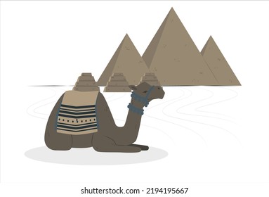 Giza pyramid complex egyptian pyramids and camel daytime wonder of the world great pyramid and camel vector illustration