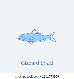 gizzard shad 2 colored line icon. Simple light and dark blue element illustration. gizzard shad concept outline symbol design from fish set
