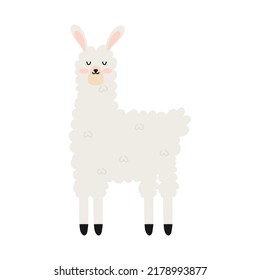 glad llama image over white