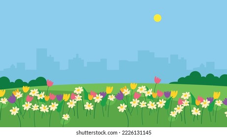 Glade with blooming flowers in the city park