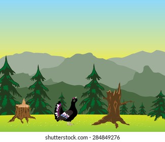 The Glade with flower in mountain high.Vector illustration