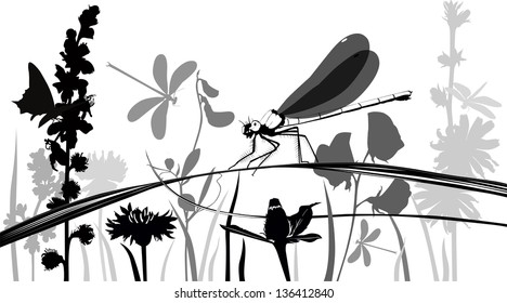 glade with flowers and insects