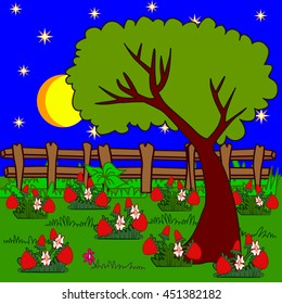 Glade. Meadow. Nature vector  illustration. Night.