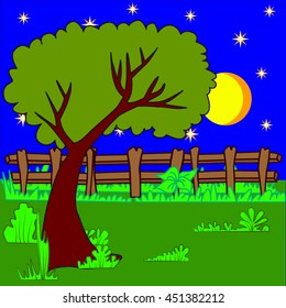 Glade. Meadow. Nature vector  illustration. Night.
