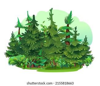 Glade in Pine forest. Coniferous spruce trees. Landscape cartoon style. Isolated on white background. Vector