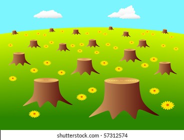 Glade with stumps