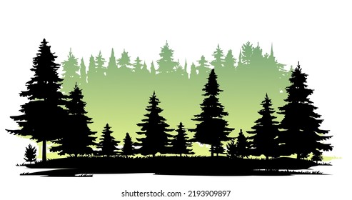 Glade in taiga. Coniferous forest with firs and pines. Landscape with trees and grass. Silhouette picture. Isolated on white background. Vector