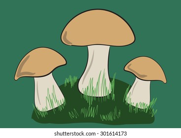 Glade with three mushrooms and a grass