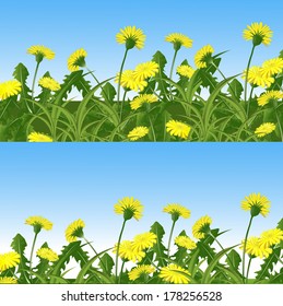 glade with yellow flowers. vector illustration