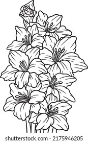 Gladioli Flower Coloring Page for Adults
