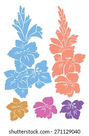 gladiolus