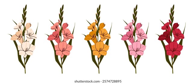 Gladiolus clipart. Set of beautiful colorful gladiolus, sword lily flowers. botanical illustration of various colors for bridal bouquet, Mother’s Day , Valentine’s Day blooming flowers. Wallpaper, AD