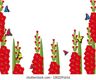 Gladiolus flower background decor