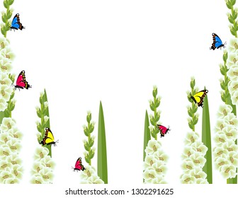 Gladiolus flower background decor