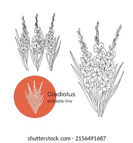 Gladiolus flower was drawn in a minimalistic style with a line. Part of the collection of main flowers. Editable line.