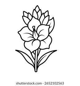 Icono de Vector de contorno de flor de gladiolo sobre fondo blanco

