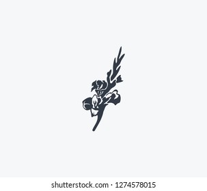 Gladiolus icon isolated on clean background. Gladiolus icon concept drawing icon in modern style. Vector illustration for your web mobile logo app UI design.