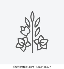 Gladiolus icon line symbol. Isolated vector illustration of icon sign concept for your web site mobile app logo UI design.