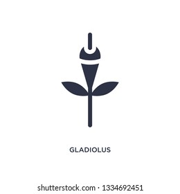 gladiolus icon. Simple element illustration from nature concept. gladiolus editable symbol design on white background. Can be use for web and mobile.