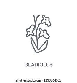 Gladiolus icon. Trendy Gladiolus logo concept on white background from Nature collection. Suitable for use on web apps, mobile apps and print media.