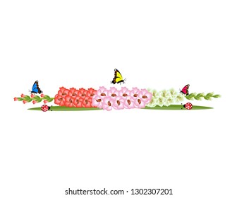 Gladiolus Spring branch with flowers