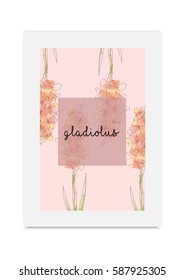Gladiolus vector illustration hand drawn painted watercolor