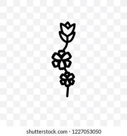 Gladiolus vector linear icon isolated on transparent background, Gladiolus transparency concept can be used for web and mobile