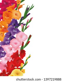 Gladioluses card. Copyspace, place for text. sword lily flowers. Vector card illustration. yellow, red, pink, purple, orange. isolated Floral elements for postcards invitations decoration design